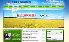 ����¹�ǌ��I(y��)